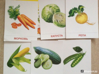 Татьяна Цветкова: Демонстрационные картинки "Овощи" (16 картинок)
