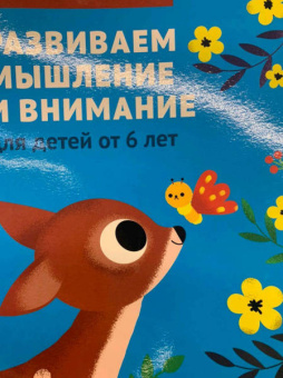 Развиваем мышление и внимание. Для детей от 6 лет