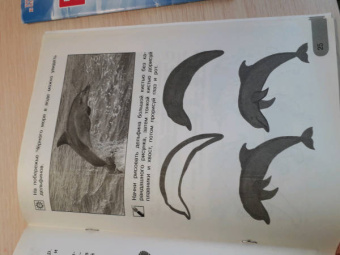 Анна Предит: Изобразительное искусство. Мы раскрасим целый свет 4 класс. Тетрадь для внеурочной деятельности