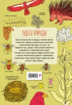 Джулия Ротман: Анатомия природы. Занимательные детали мира природы