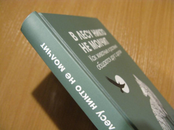 Мадлен Циге: В лесу никто не молчит. Как животные и растения общаются друг с другом