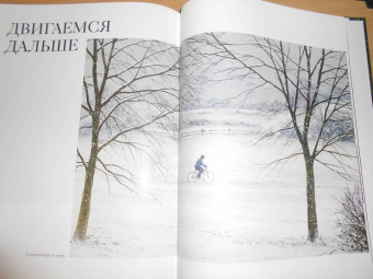 Джереми Форд: Гуашь. Легкость и свобода в создании впечатляющих картин