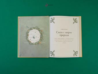 Пейдж Вандербек: Green Witchcraft. Как открыть для себя магию цветов, трав, деревьев, кристаллов и многое другое