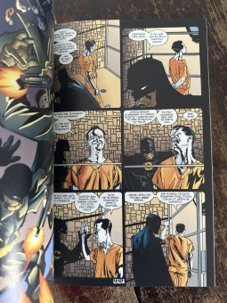 Диксон, Стелфриз: Бэтмен. Detective Comics. Гиблое дело