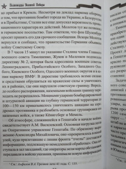 Владимир Дайнес: Василевский