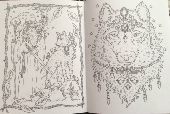 Ханна Карлсон: Волшебные истории. Заколдованный лес