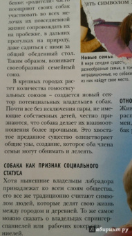 Брюс Фогл: Собаки. Полная энциклопедия