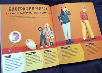 Тим Кеннингтон: Его величество мозг. Все самое интересное о работе мозга людей, животных и роботов