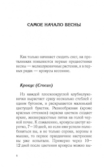Галина Кизима: Красивый сад с весны до осени без особых усилий