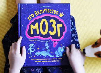 Тим Кеннингтон: Его величество мозг. Все самое интересное о работе мозга людей, животных и роботов