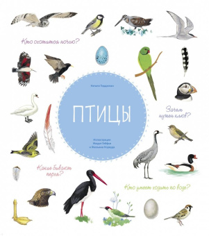 Натали Торджман: Птицы
