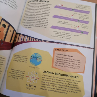 Дэвис, Мубин: Зачем нужна математика?