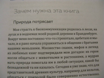 Мадлен Циге: В лесу никто не молчит. Как животные и растения общаются друг с другом