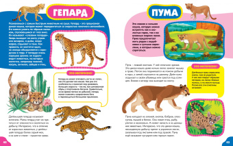 Анна Забирова: Животные для малышей