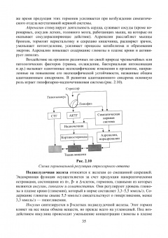 Позняковский, Дроздова, Влощинский: Физиология питания. Учебник