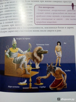 Андрей Розумчук: Мумии и пирамиды