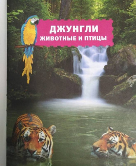 Джунгли. Животные и птицы