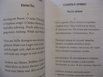 Мария Райнер: Сонеты к Орфею