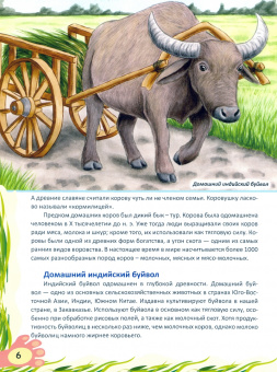 Владимир Бабенко: Домашние животные