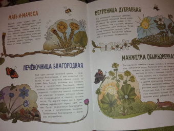 Эмма Янссон: Цветы и растения