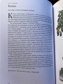 Джонатан Дрори: Вокруг света за 80 деревьев