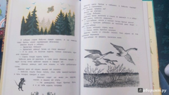 Русские сказки. Рисунки Ю.Васнецова