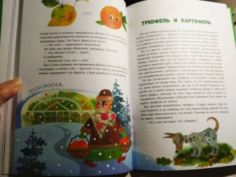 Марина Улыбышева: Как появляются слова