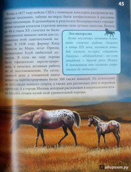 Леся Калугина: Хочу знать. Лошади