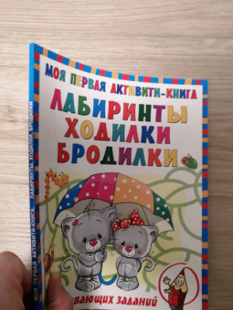 Валентина Дмитриева: Моя первая книга лабиринтов, ходилок и бродилок