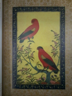 Индийские сказки