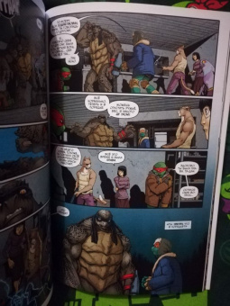 Карноу, Истмен, Валтс: Подростки мутанты ниндзя черепашки. Монстры, отбросы и безумцы