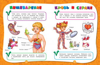 Лазарь, Малевич, Мазаник: Полный годовой курс занятий для детей 4-5 лет