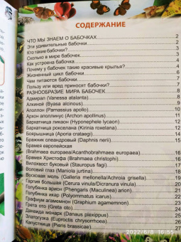 Людмила Соколова: Энциклопедия. Бабочки