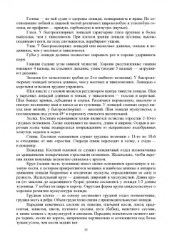 Кузнецов, Тюрин, Семенов: Лошадь. Разведение, содержание, уход, кормление. Учебное пособие для СПО