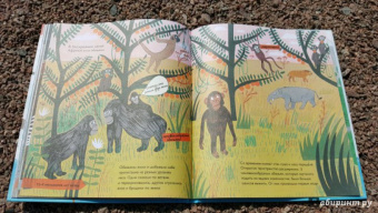 Барр, Уильямс: История жизни. Моя первая книга об эволюции