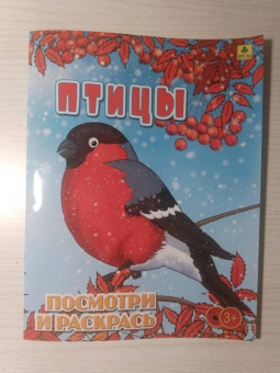 Птицы. Детская раскраска