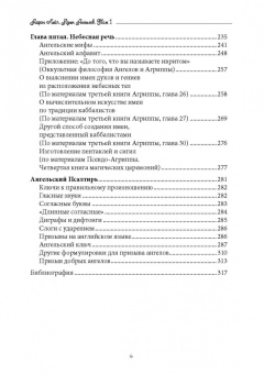 Аарон Лейч: Язык Ангелов. Том I. Полная история и мифы о языке ангелов на основе дневников доктора Джон Ди