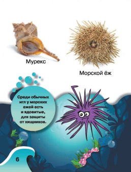 Светлана Пирожник: Обитатели подводного мира. 200 картинок