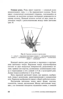 Александр Ступин: Семеноведение. Учебное пособие. СПО