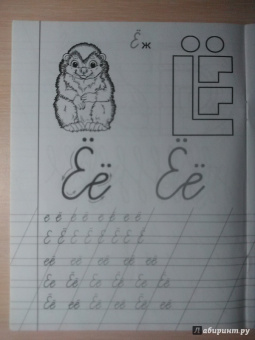 Прописи "Е - Енот"