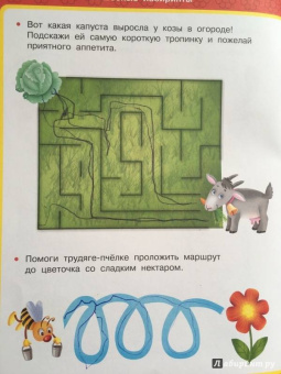 Валентина Дмитриева: Волшебные лабиринты