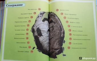 Юный эрудит. Современная энциклопедия окружающего мира