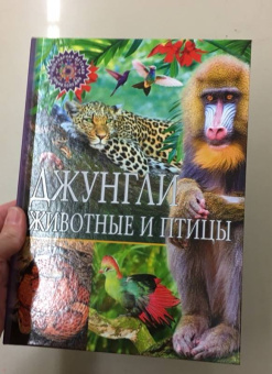 Джунгли. Животные и птицы