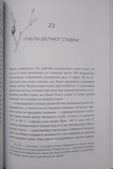 Бернд Хайнрих: Зима. Секреты выживания растений и животных в самое суровое время года