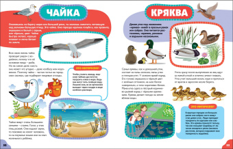 Анна Забирова: Птицы для самых маленьких