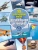 Андрей Мерников: Воздухоплавание и авиация