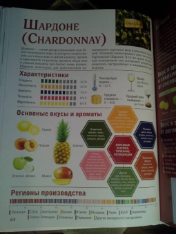 Марк Шпаковский: Вино. Большой иллюстрированный гид