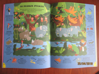 Эд Майер: Загляни в джунгли!