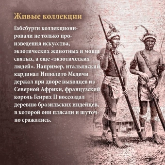 Вейнс Фрэнсис: Бурный XVI век. Габсбурги, ведьмы, еретики, кровавые мятежи