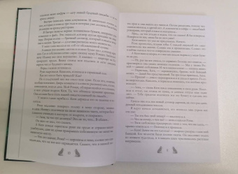 Сильвия Лайм: Академия Арктур. Невеста Волка